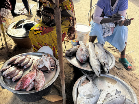 Guide to Sénégal-Ponto必去景点