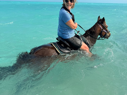 Provo Ponies-Long Bay Hills必去景点