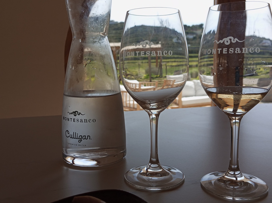 Bodega Montesanco Teulada-Teulada必去景点