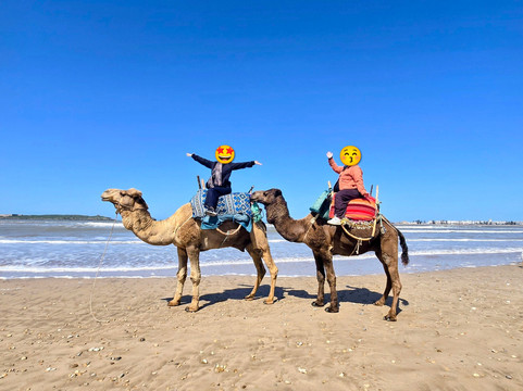 Essaouira Activités-索维拉必去景点