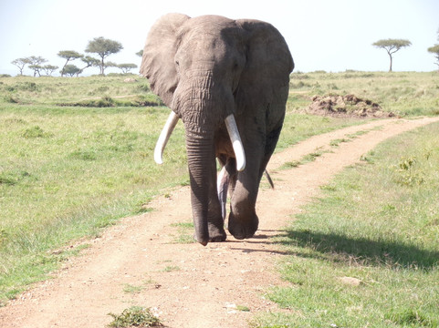 Shanjoy Tours and Safaris-Kikuyu必去景点