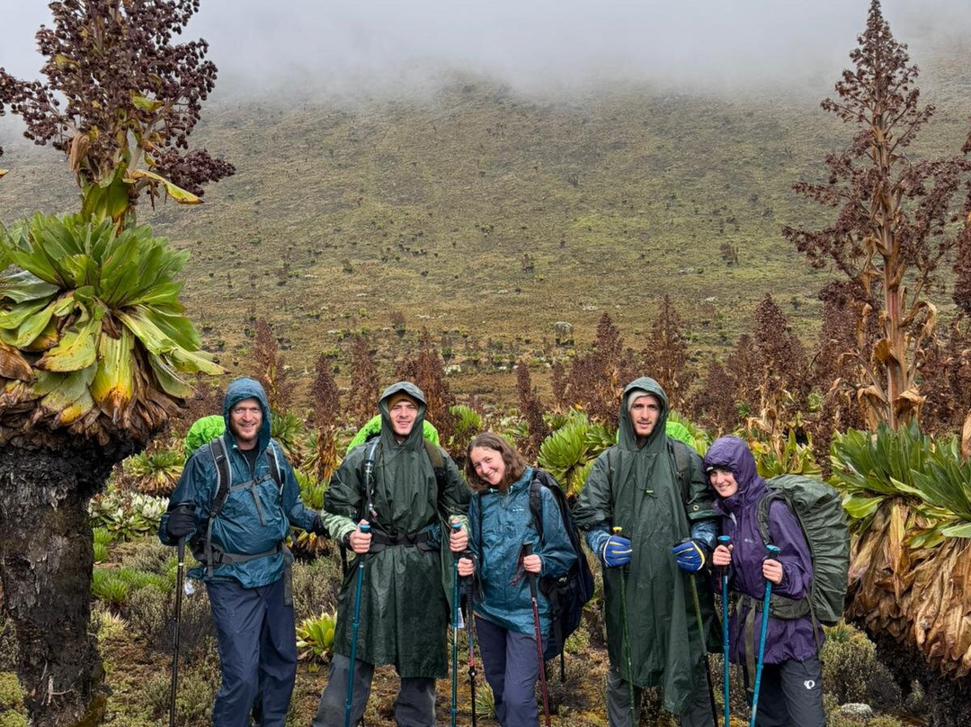 Gracious Trekking Expeditions-南由基必去景点