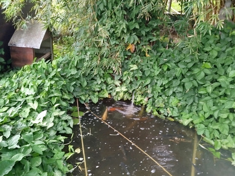 La Maison Du Coco-圣亮必去景点