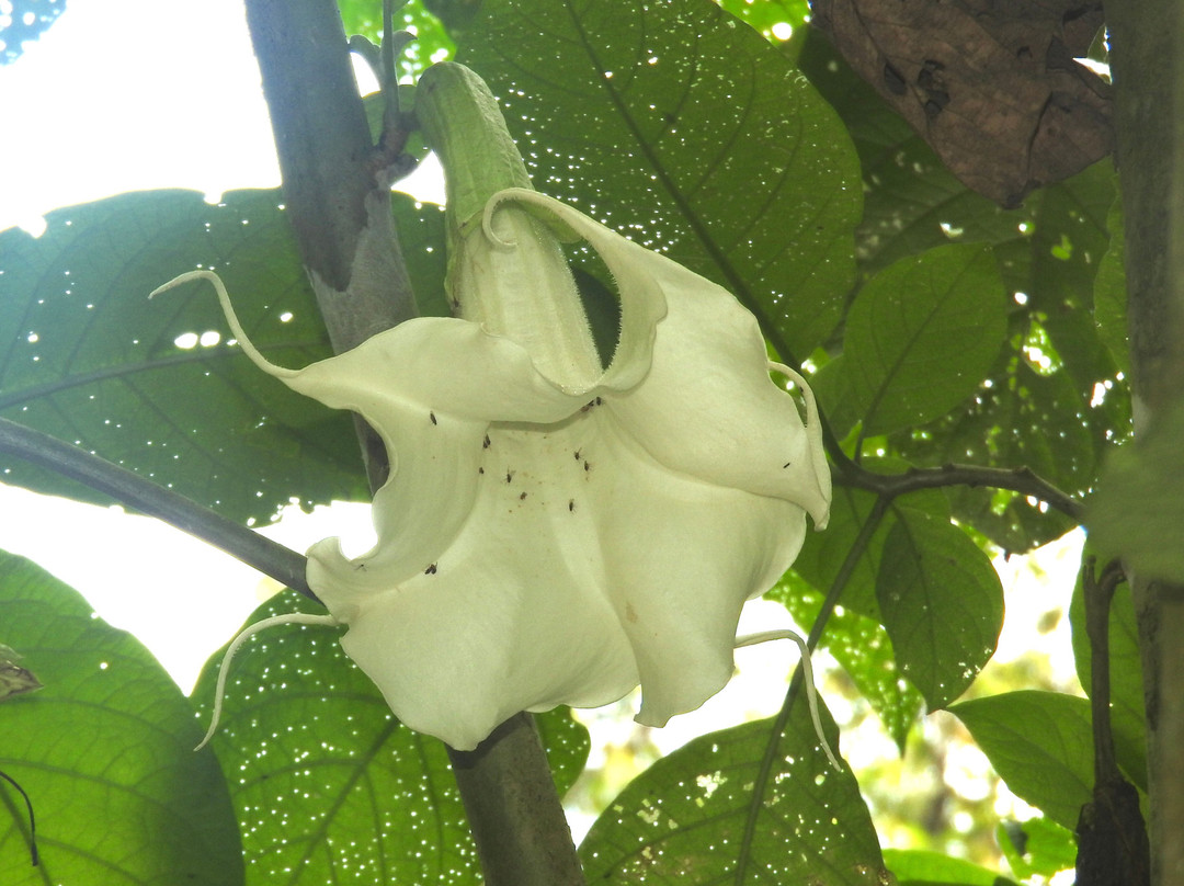 Ruta Natural-麦德林必去景点