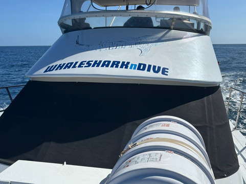 Ningaloo Whaleshark-N-Dive-埃克斯茅斯必去景点