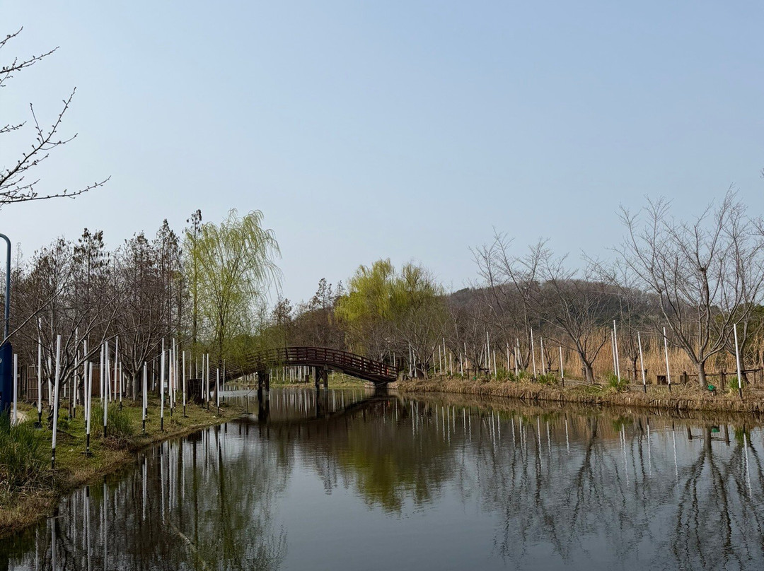 拈花湾-无锡市必去景点