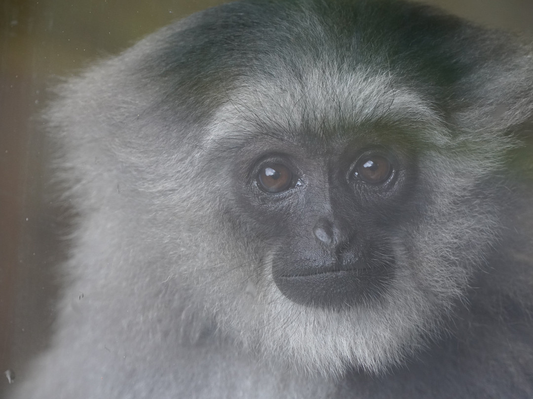 Curraghs Wildlife Park-Ballaugh必去景点