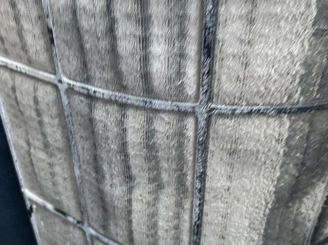 宿务麦克坦珊瑚礁岛度假村主图