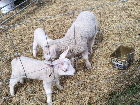 Frankly Farm Tours-Broseley必去景点