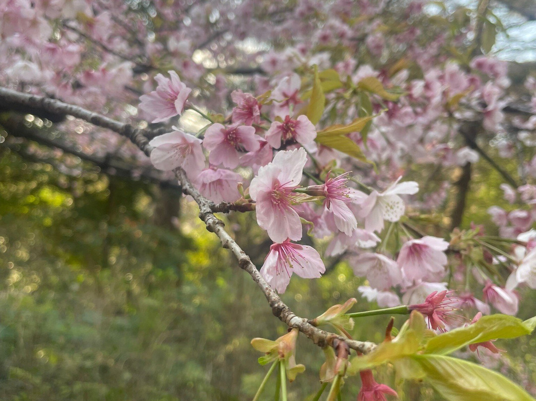 东京都庭园美术馆-Shirokanedai必去景点