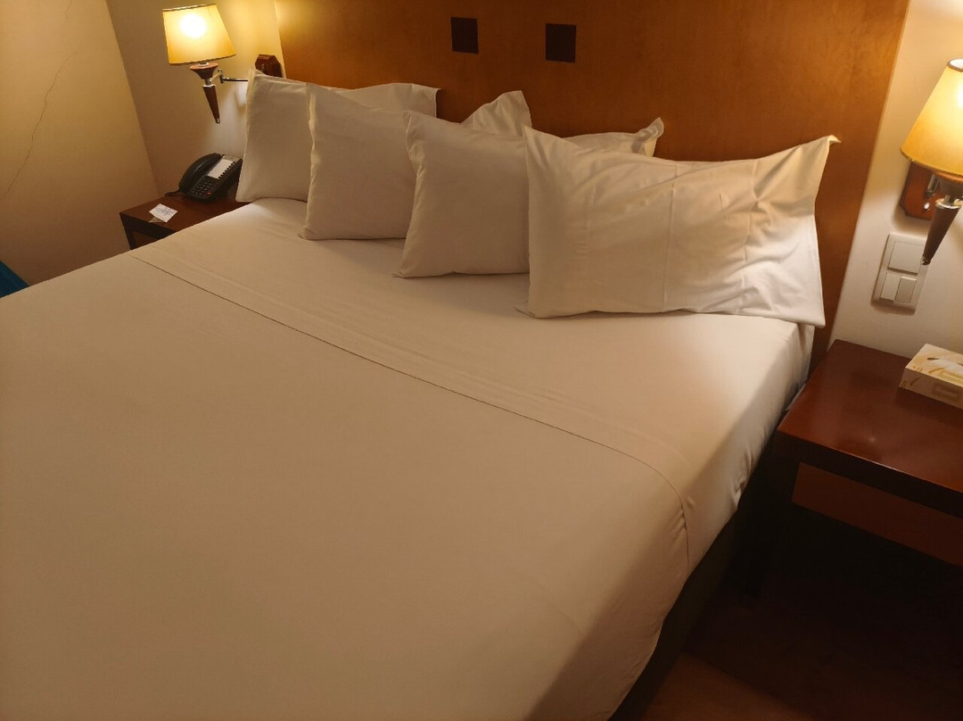 VIP行政圣伊里亚酒店主图