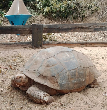 Soleil Casamance-开普史基林必去景点