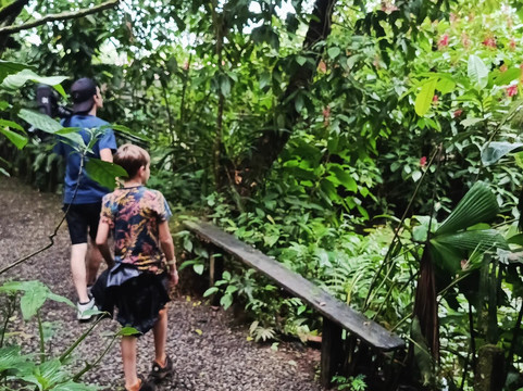 Pierella Ecological Garden-Horquetas必去景点