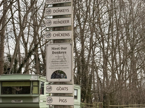 Woodlands Alpaca Farm-沃灵顿必去景点