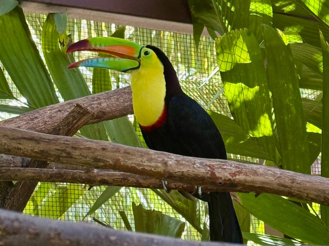 Diamante Eco Adventure Park-Playa Matapalo必去景点