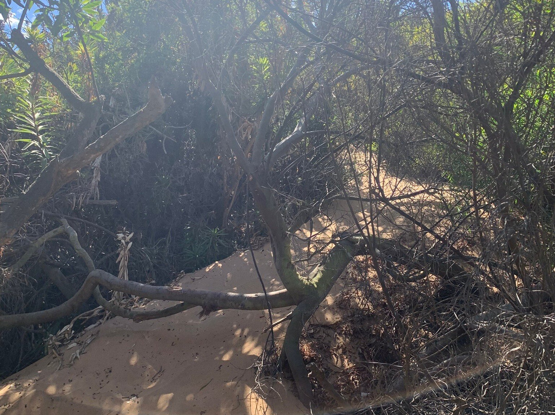 Concon Dunes-Concon必去景点