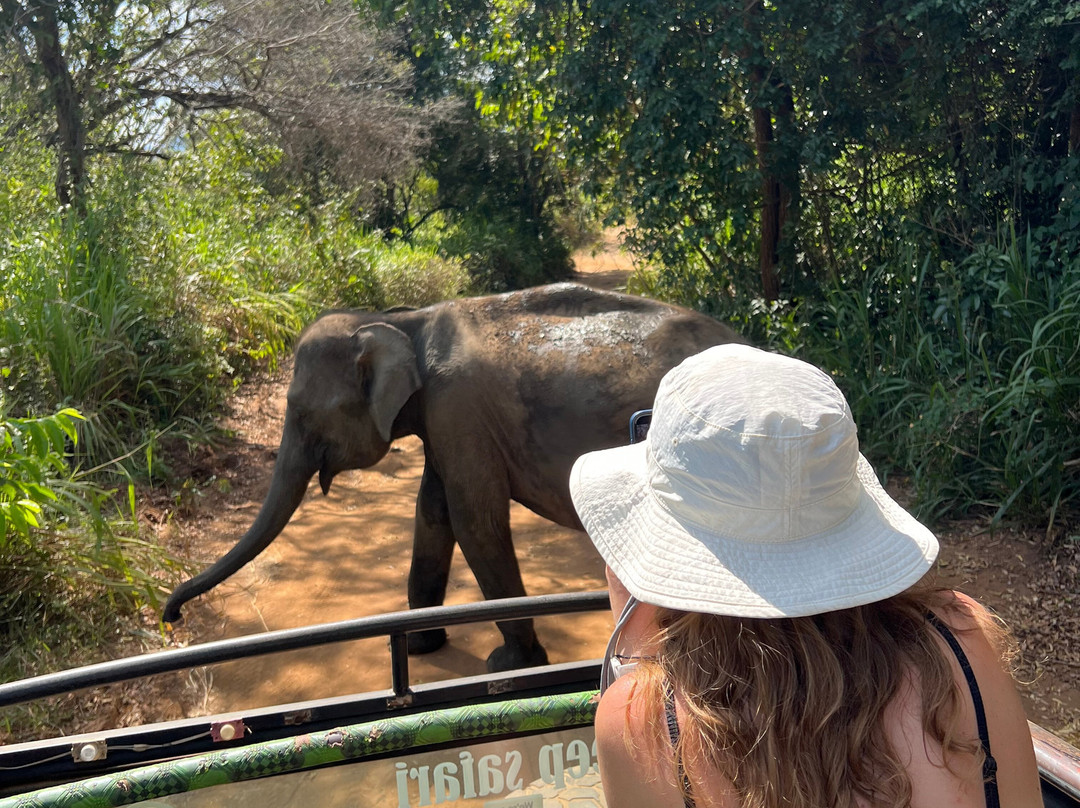 Jeep Safari With Gayan-锡吉里亚必去景点