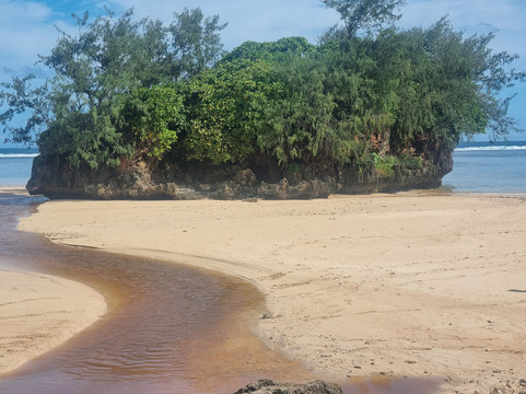 Ecotrax Fiji-辛加东卡必去景点