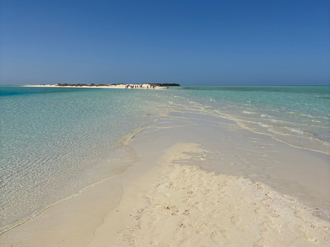 Wadi El Gemal National Park-马萨阿拉姆必去景点