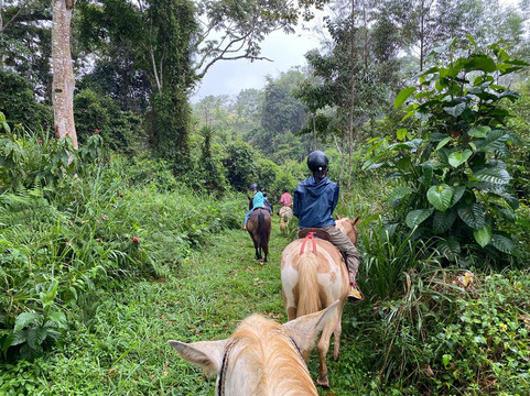 Hacienda Monteclaro主图