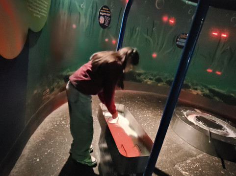 Acuario Michin Puebla-普埃布拉必去景点