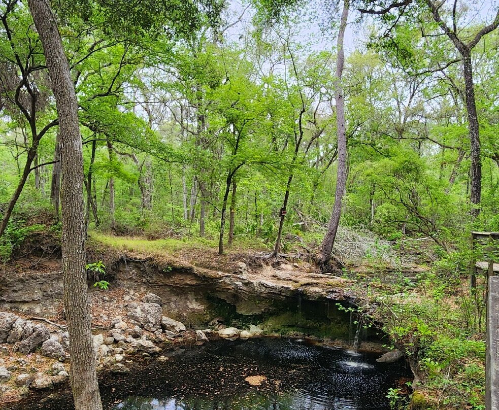 Falling Creek Falls-Lake City必去景点