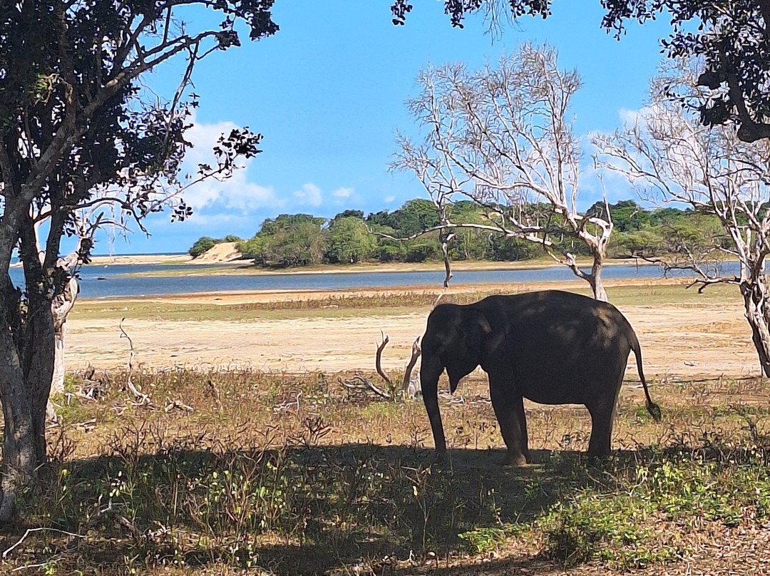 Chathu Lanka Tours-康提必去景点