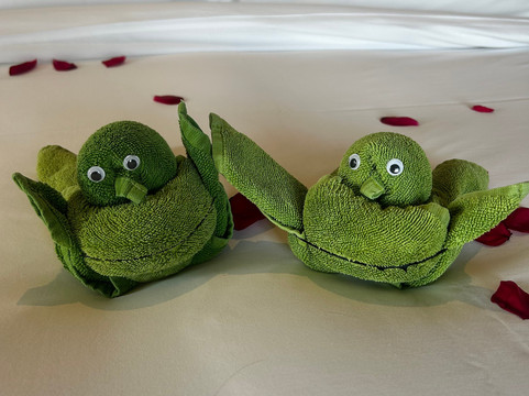 兰卡威丽思卡尔顿酒店主图