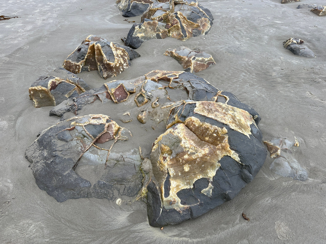 Moeraki Boulders-摩拉基必去景点