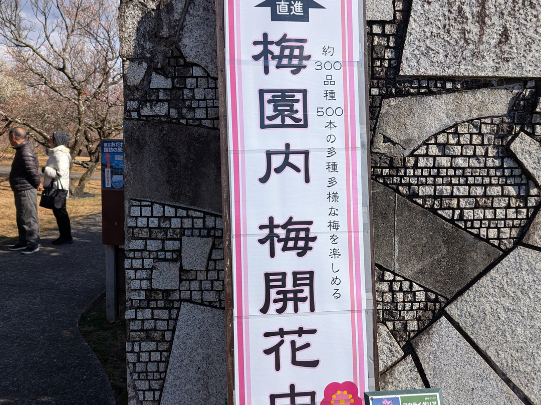 Odawara Flower Garden-小田原市必去景点