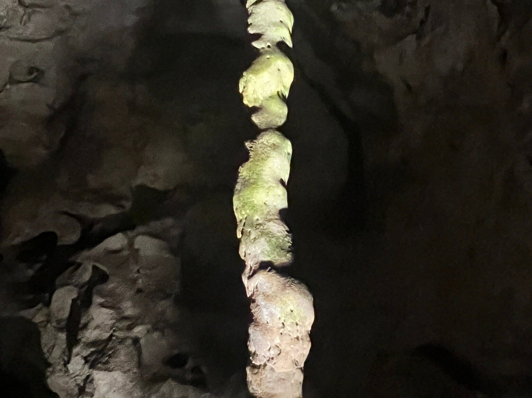 Carlsbad Caverns Natural Entrance Tour-卡尔斯巴德洞穴国家公园必去景点