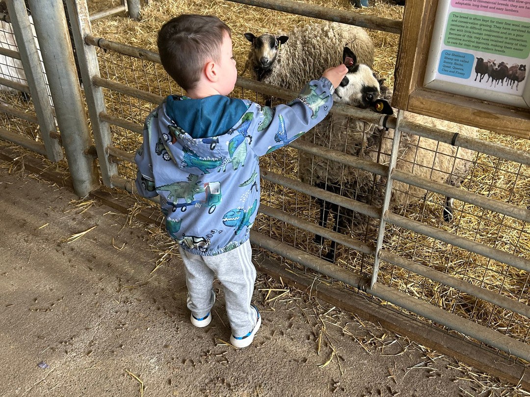 Playdale Farm Park-斯卡伯勒必去景点