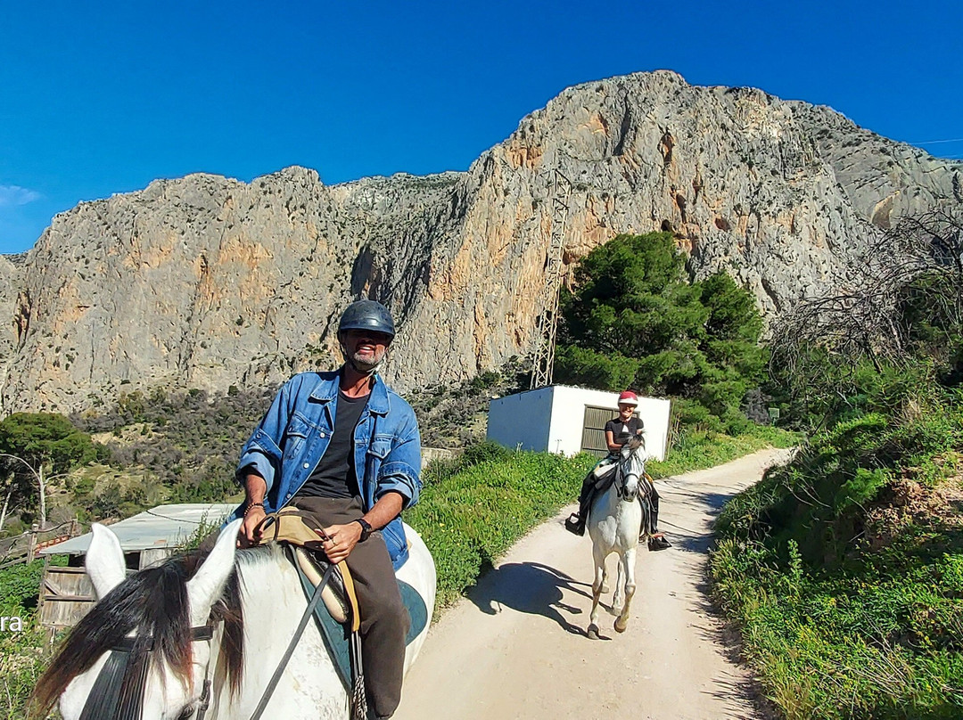 Horse Riding El Chorro-El Chorro必去景点