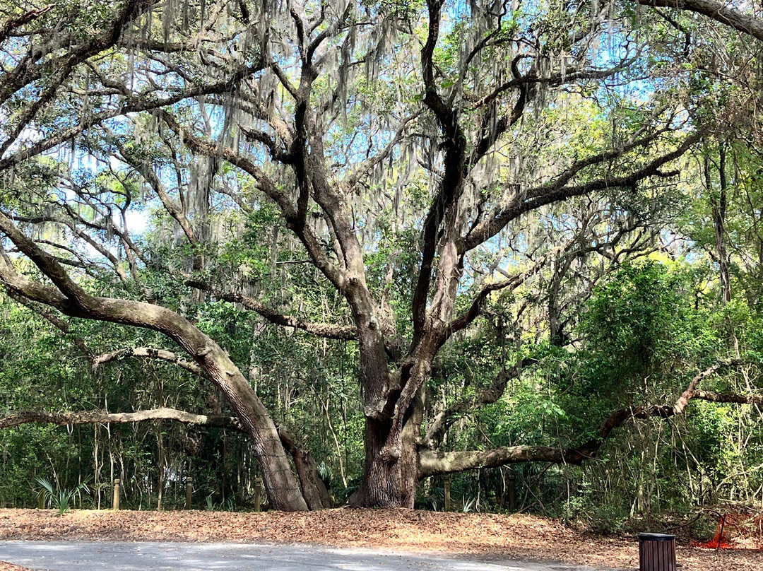 Historic Mitchelville Freedom Park-希尔顿头岛必去景点