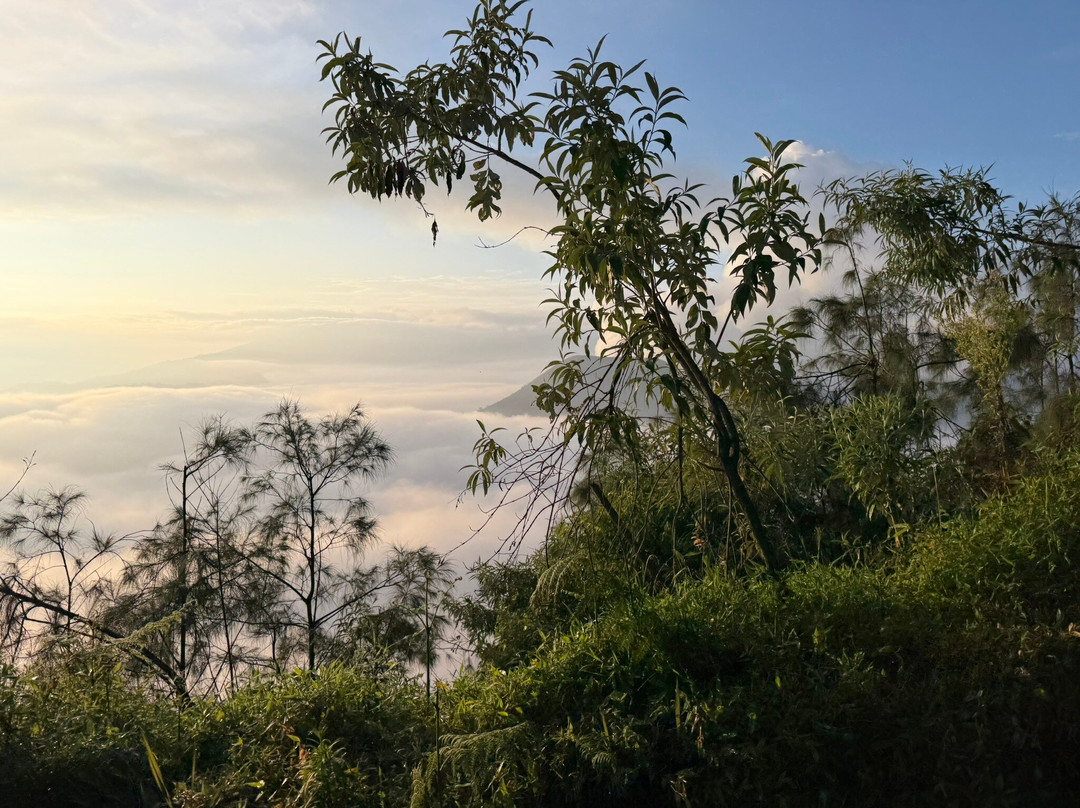 Ijen Blueflame Tour - Day Tours-巴纽旺宣必去景点