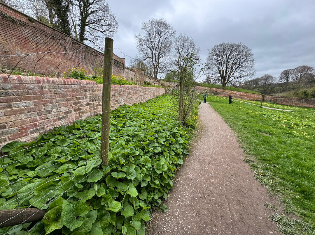 Fyne Court-布里奇沃特必去景点