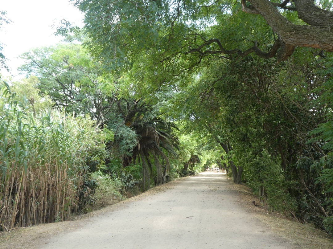 Reserva Ecológica Costanera Sur-布宜诺斯艾利斯必去景点