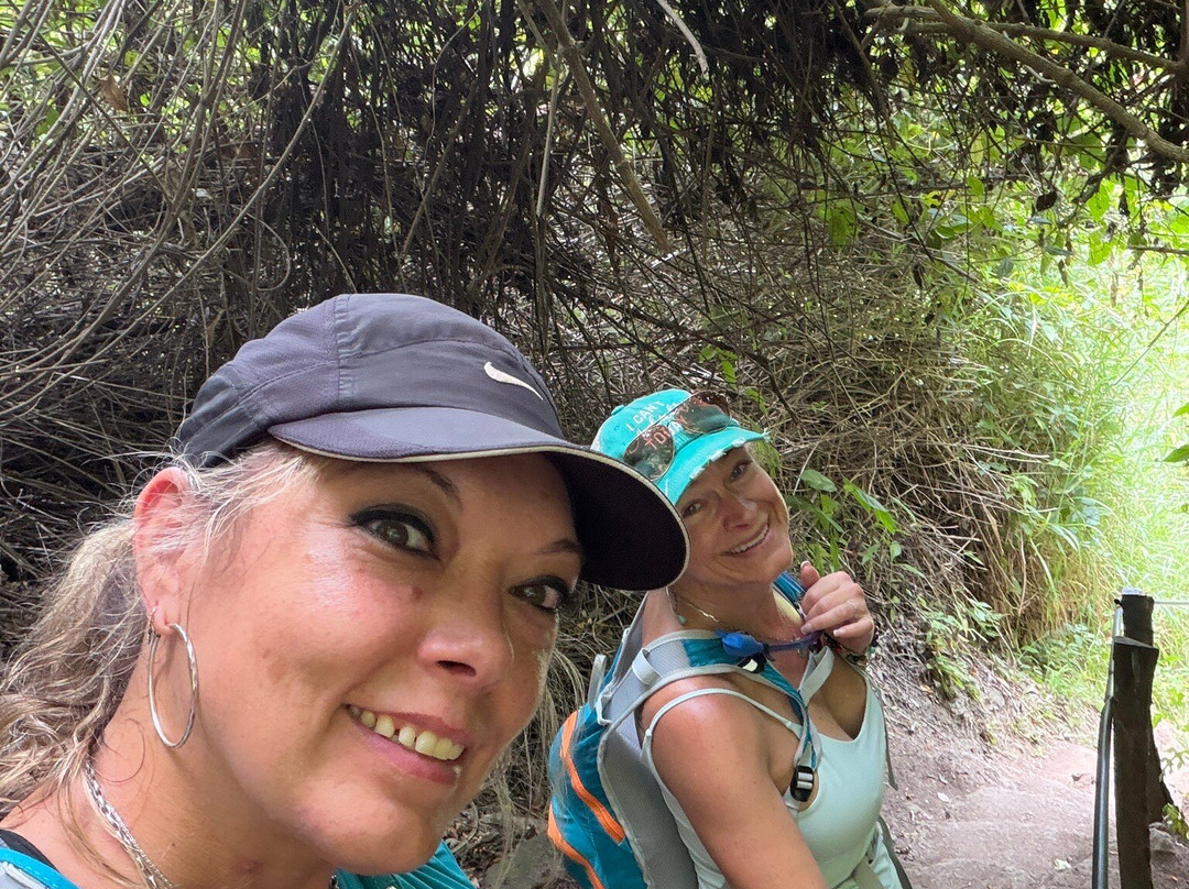 Manakin Waterfalls Nature Reserve.-Tilaran必去景点