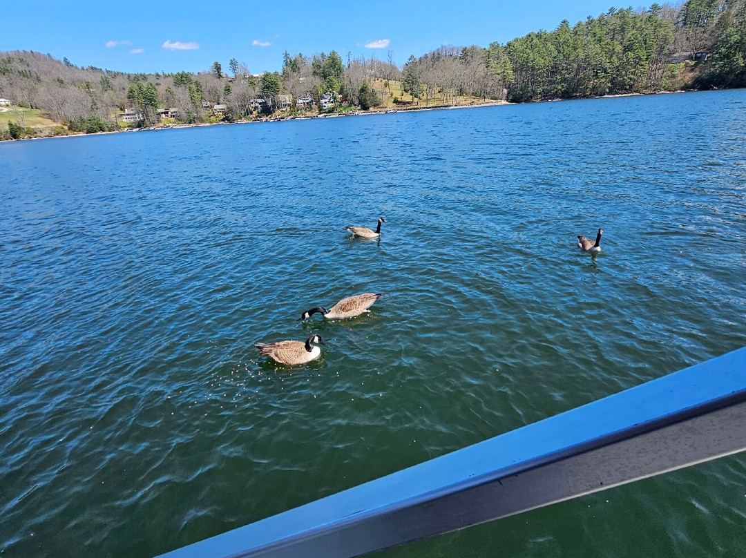 Lake Glenville Scenic Waterfall Cruises-Cashiers必去景点