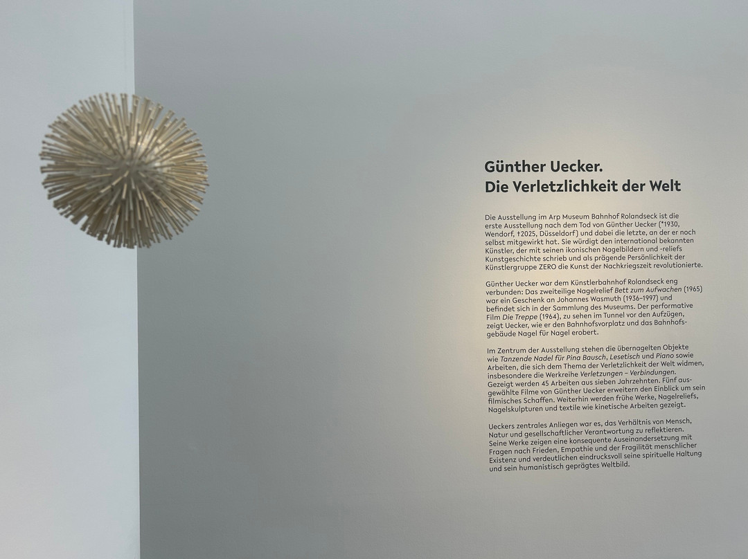 Arp Museum-雷马根必去景点