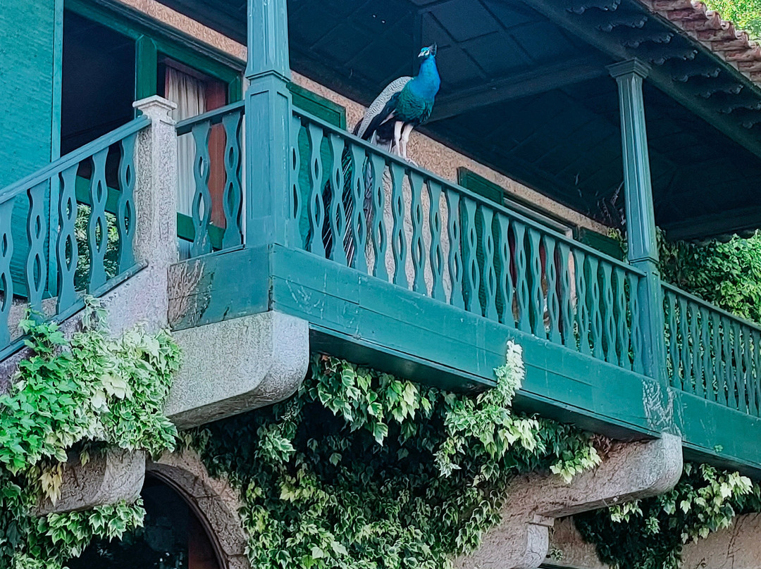 Quinta da Aveleda-Penafiel必去景点