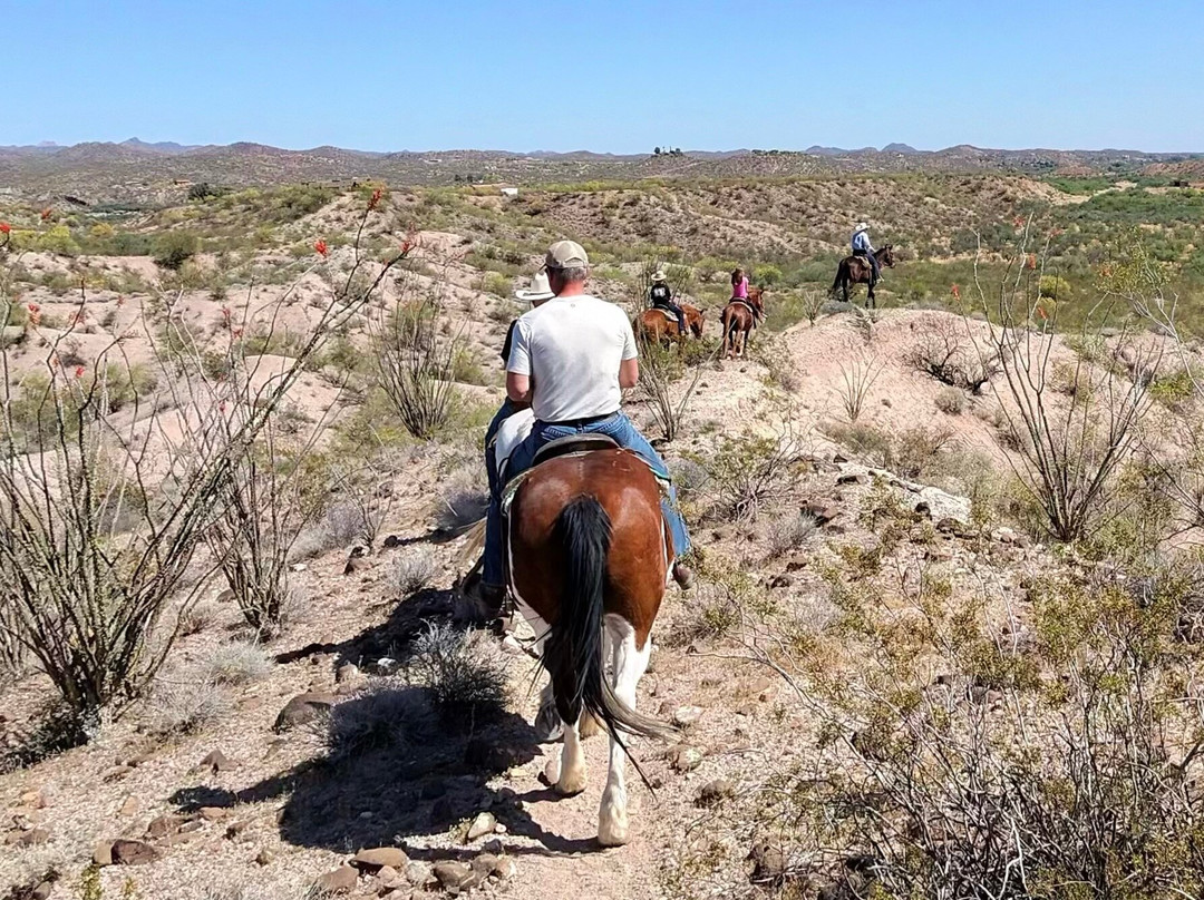 Kay El Bar Guest Ranch-Wickenburg必去景点
