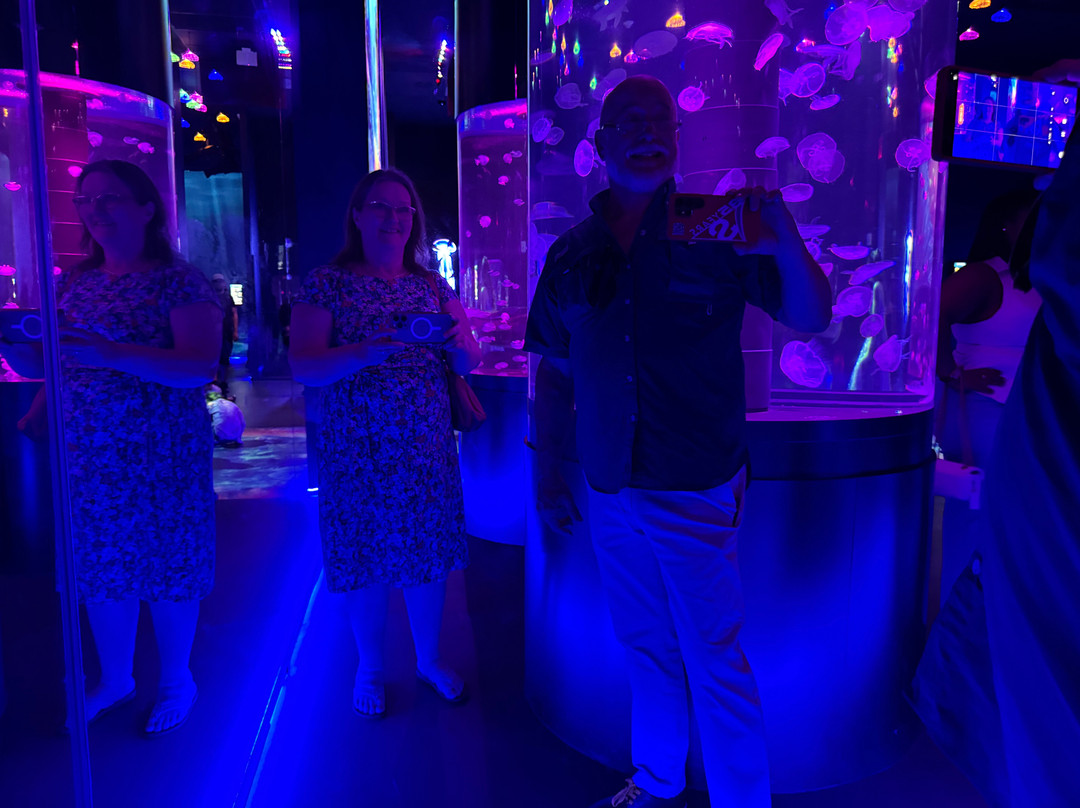Jellyfish Museum-庞帕诺比奇必去景点