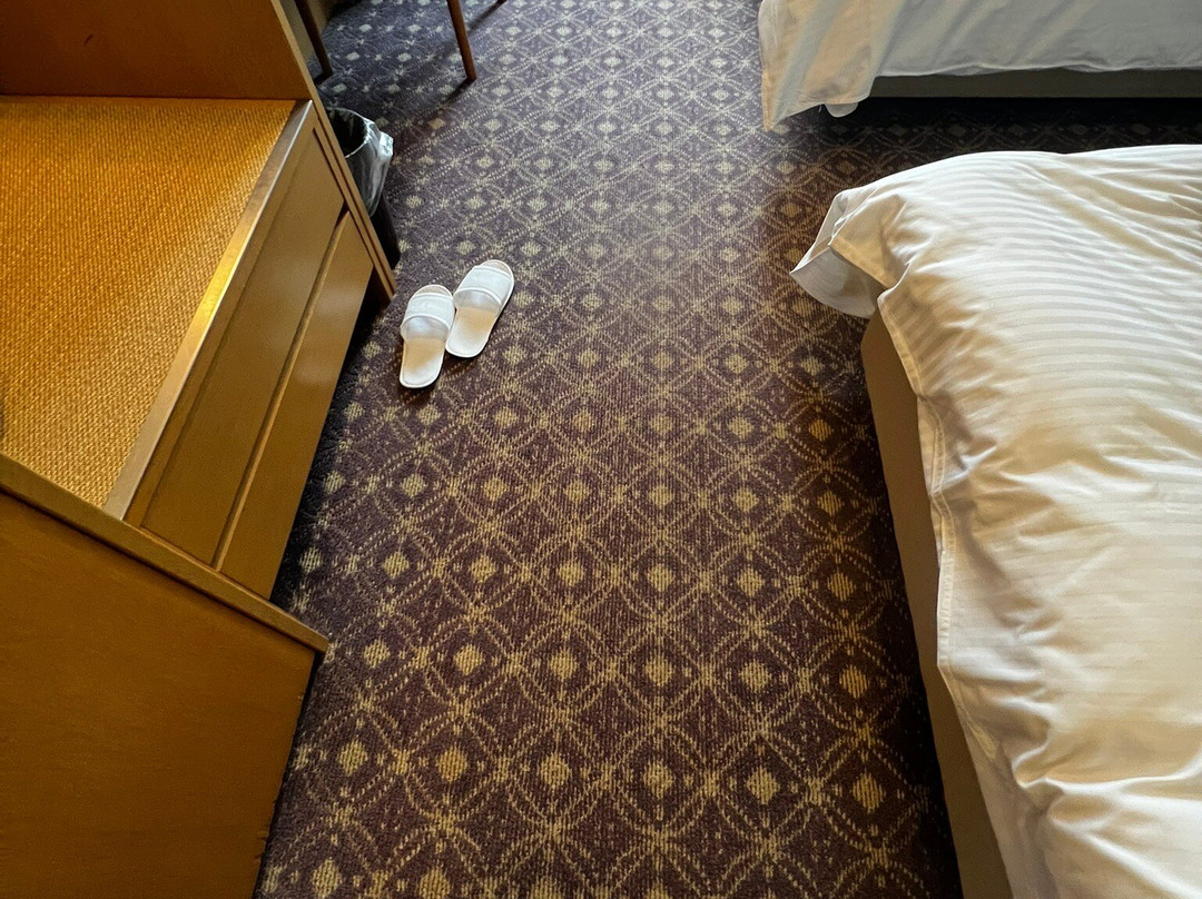 京都八条 都酒店主图