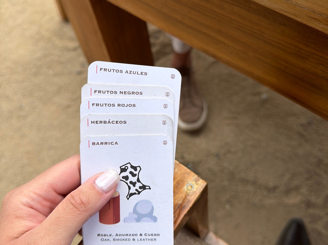 Monte Xanic Bodega Vinícola-Valle de Guadalupe必去景点