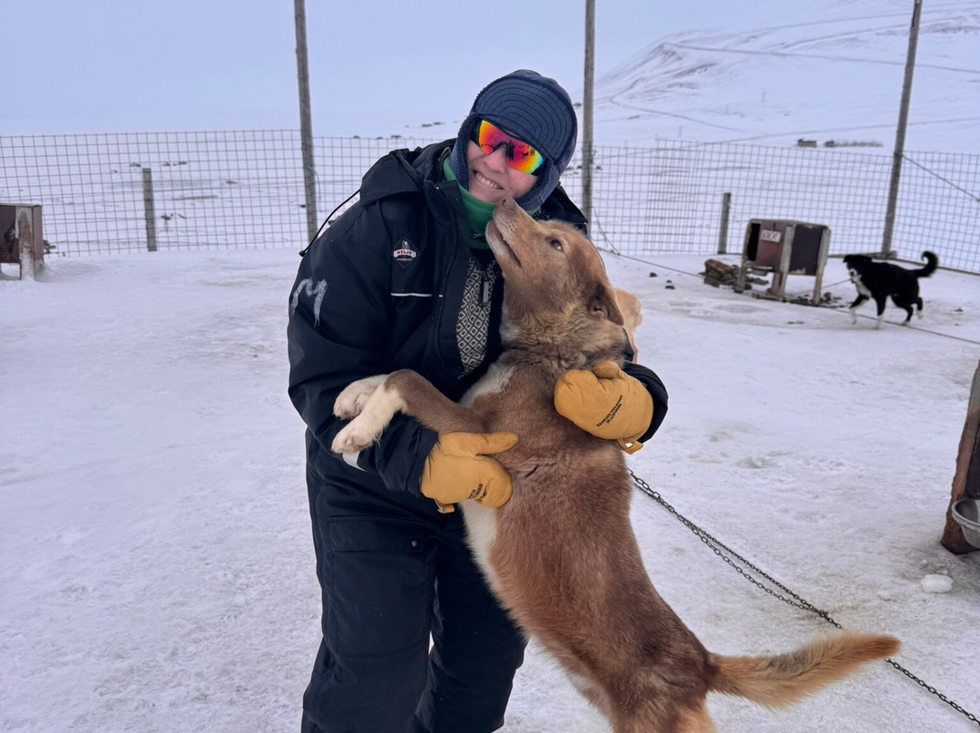 Green Dog Svalbard-朗伊尔城必去景点