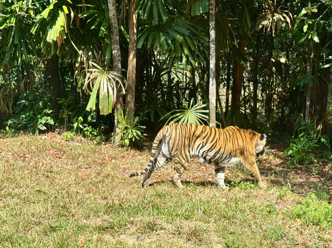 珍珠王国野生动物园-富国岛必去景点