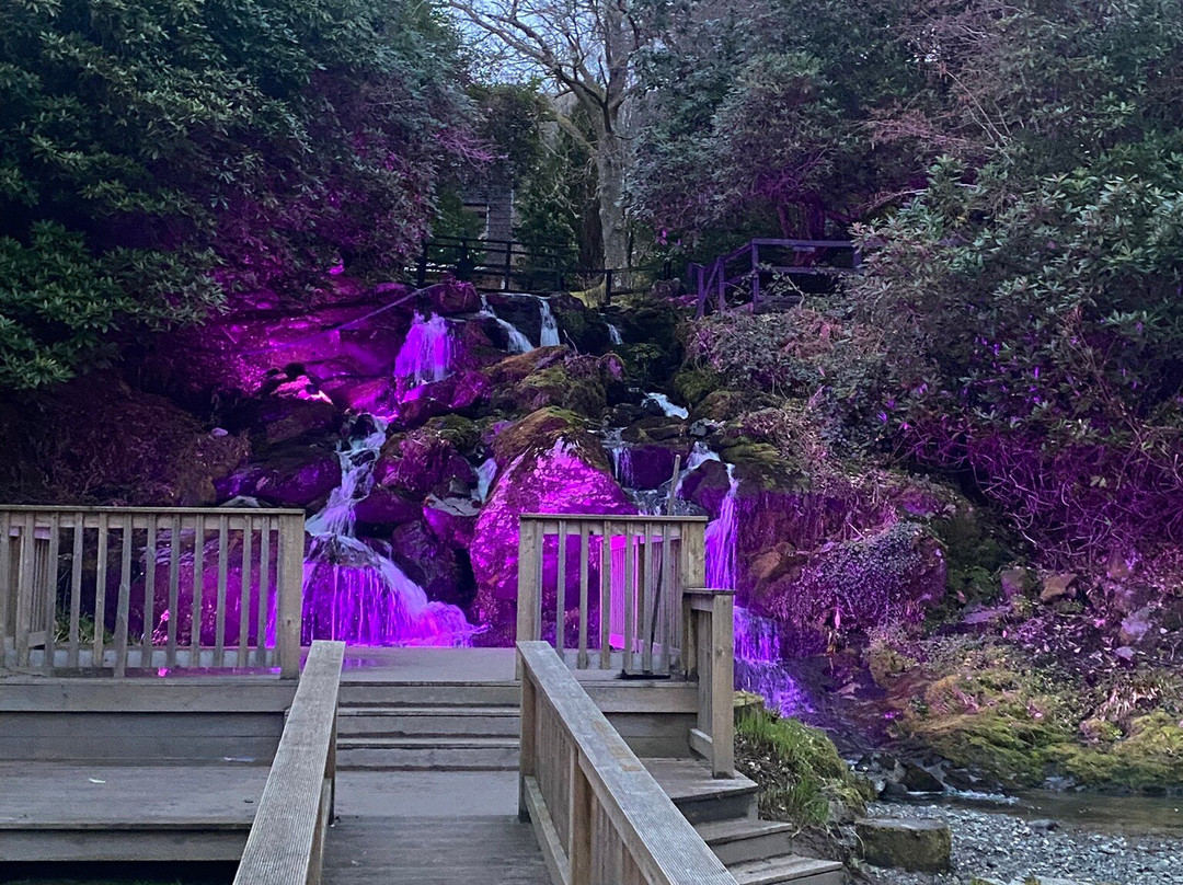 麦当劳森林山酒店主图