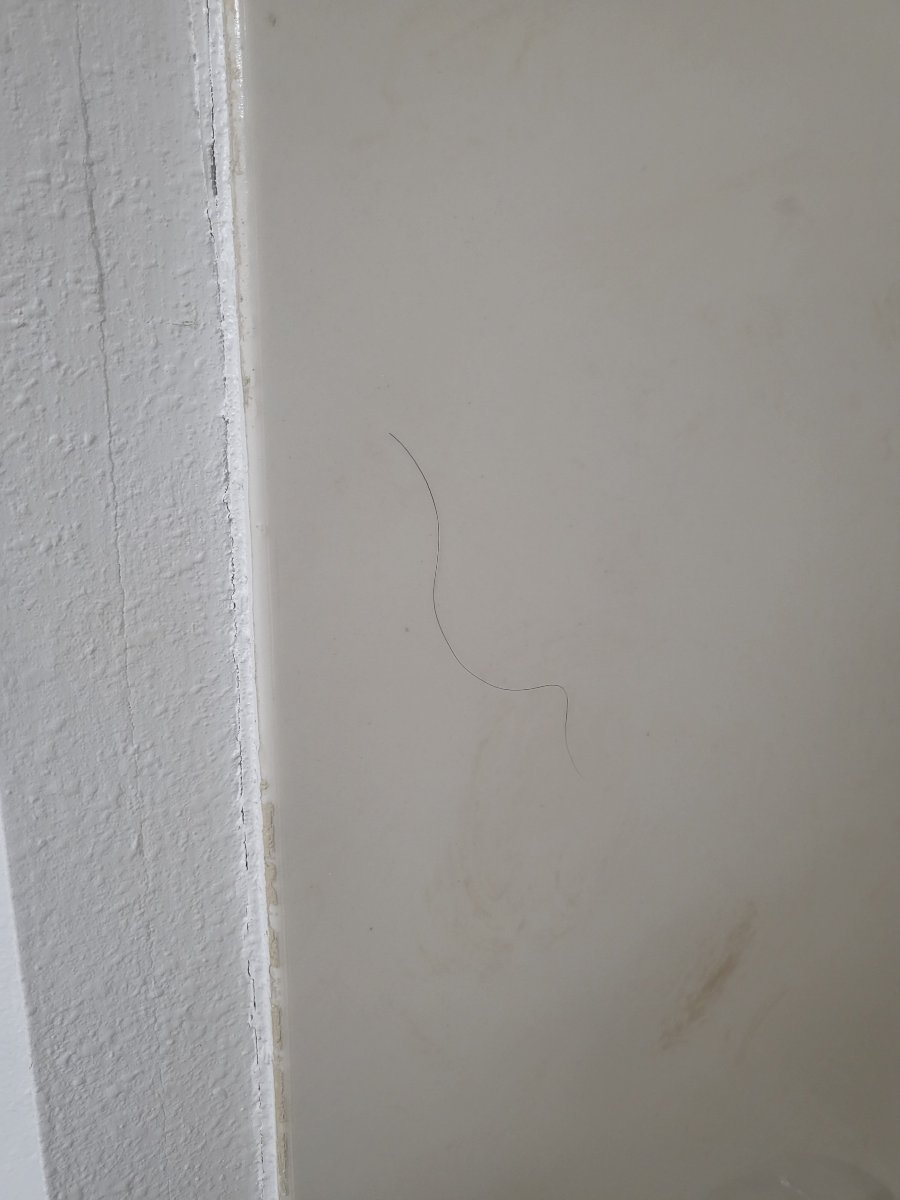 里士满西I-64丽怡酒店-旅行者