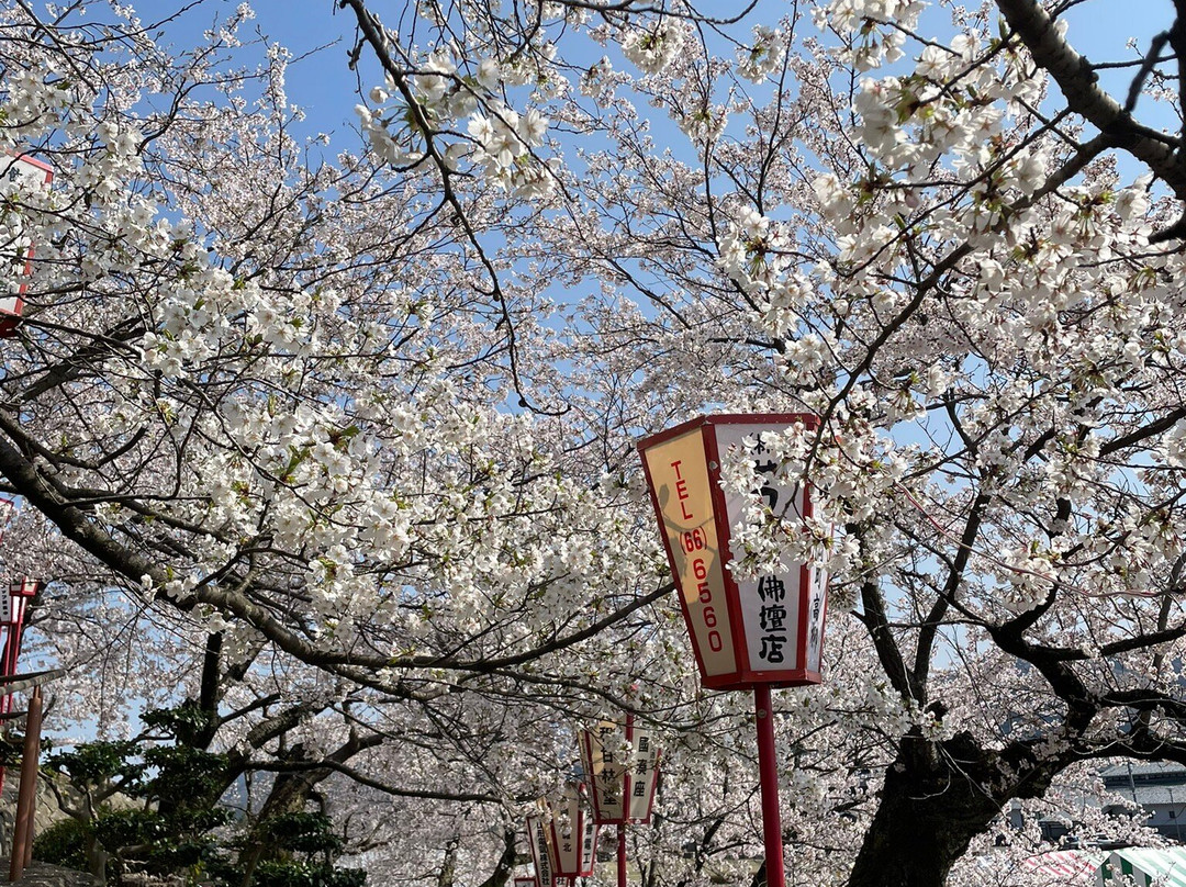 Maruoka Castle-坂井市必去景点
